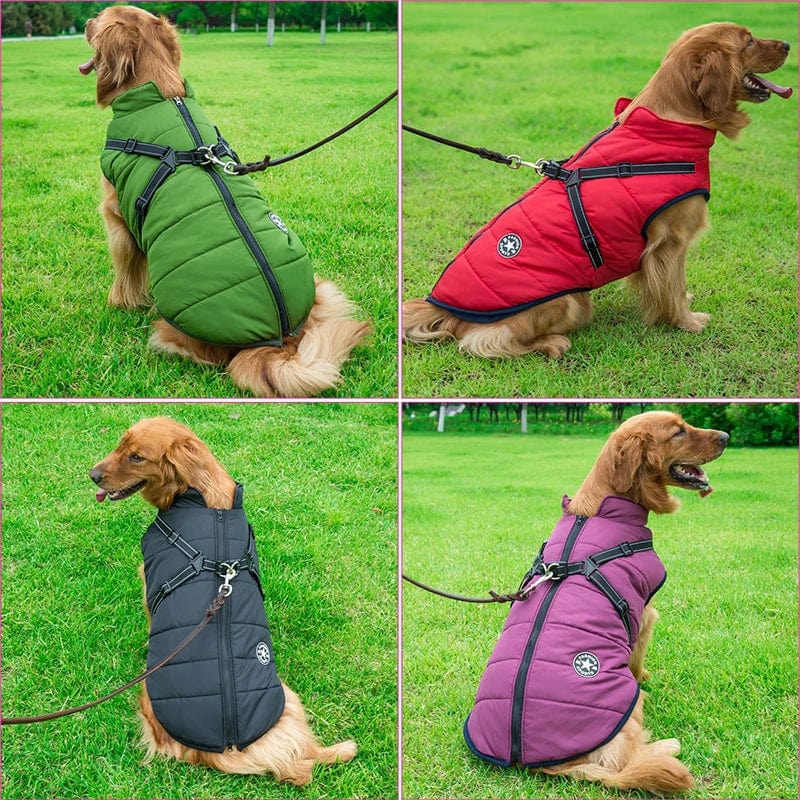 Cosy Jacket - 3 in 1 Dog Winter Jacket ❄️